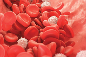 Diplomado en hematología para médicos